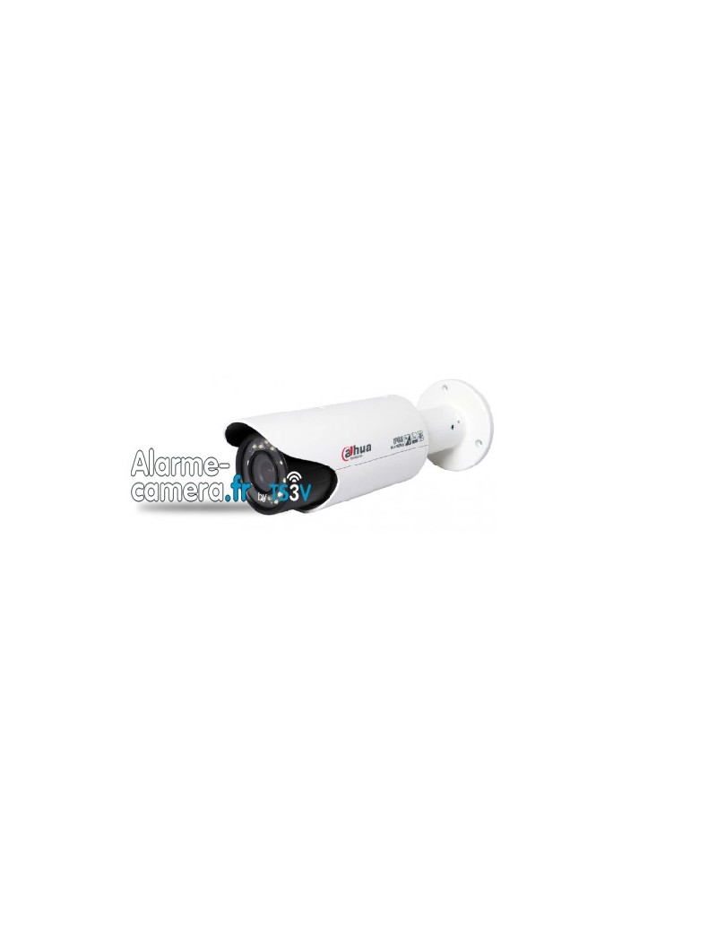 Caméra IP 3MP IPC-HFW5300C
