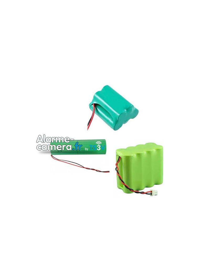 Batterie de rechange pour alarme LS30 et LS9001